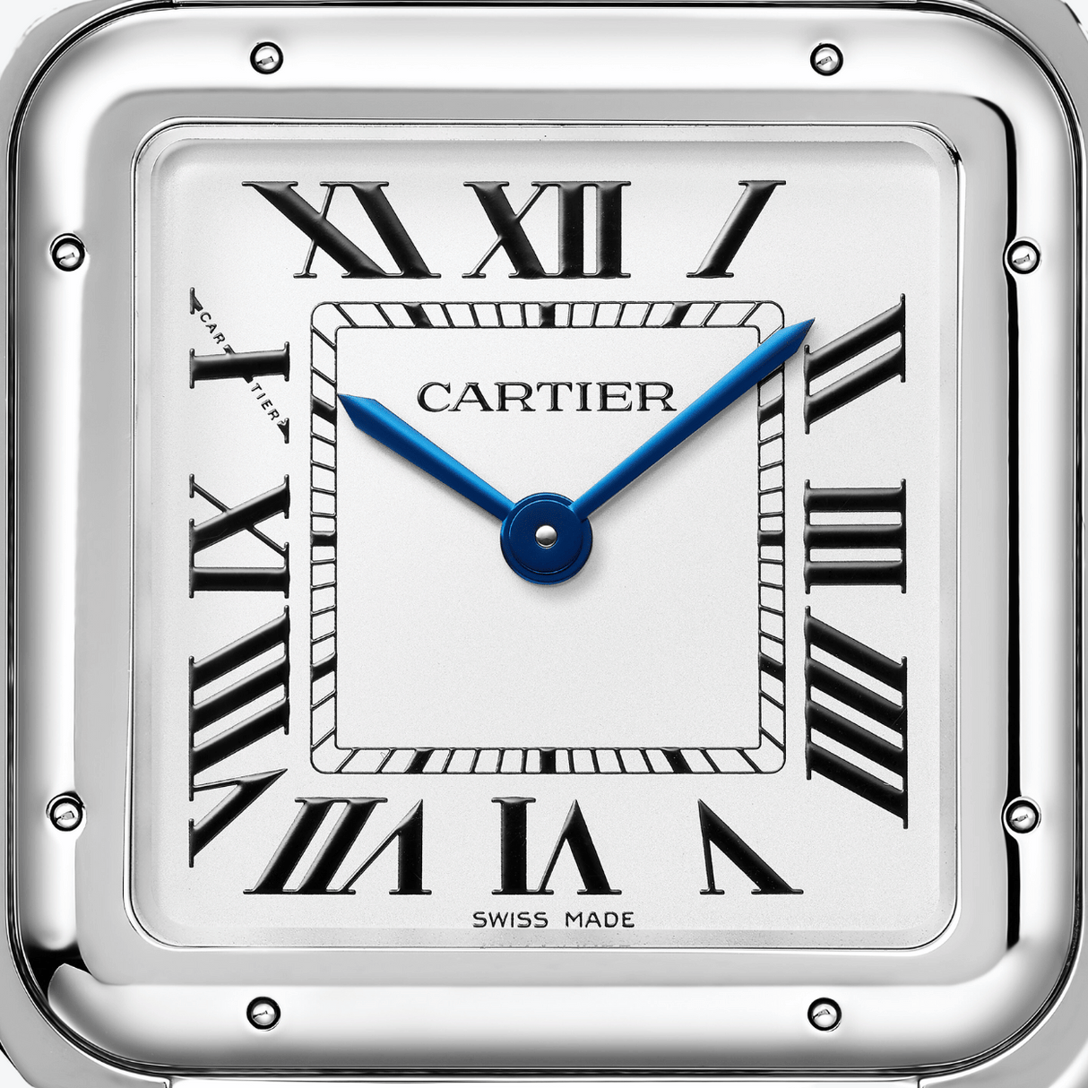 Cartier Panthère de Cartier large
