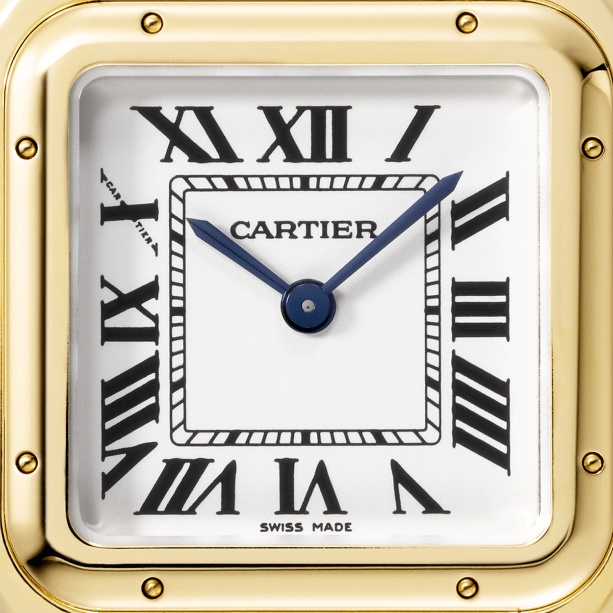 Cartier Panthère de Cartier Small