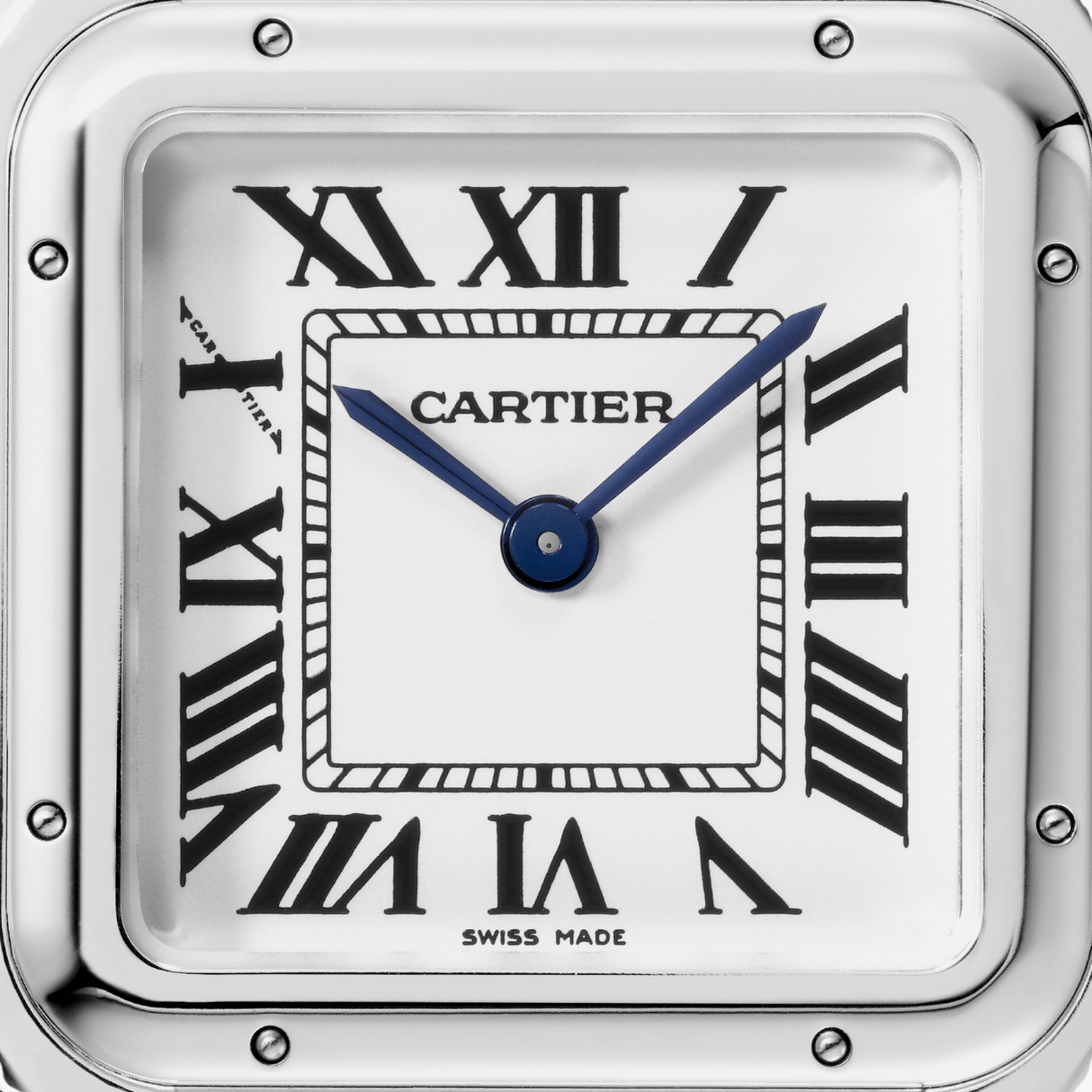 Cartier Panthère de Cartier medium