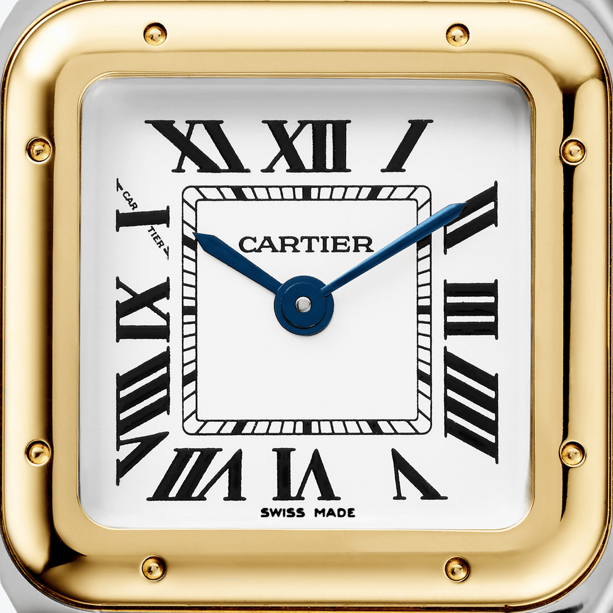 Cartier Panthère de Cartier small