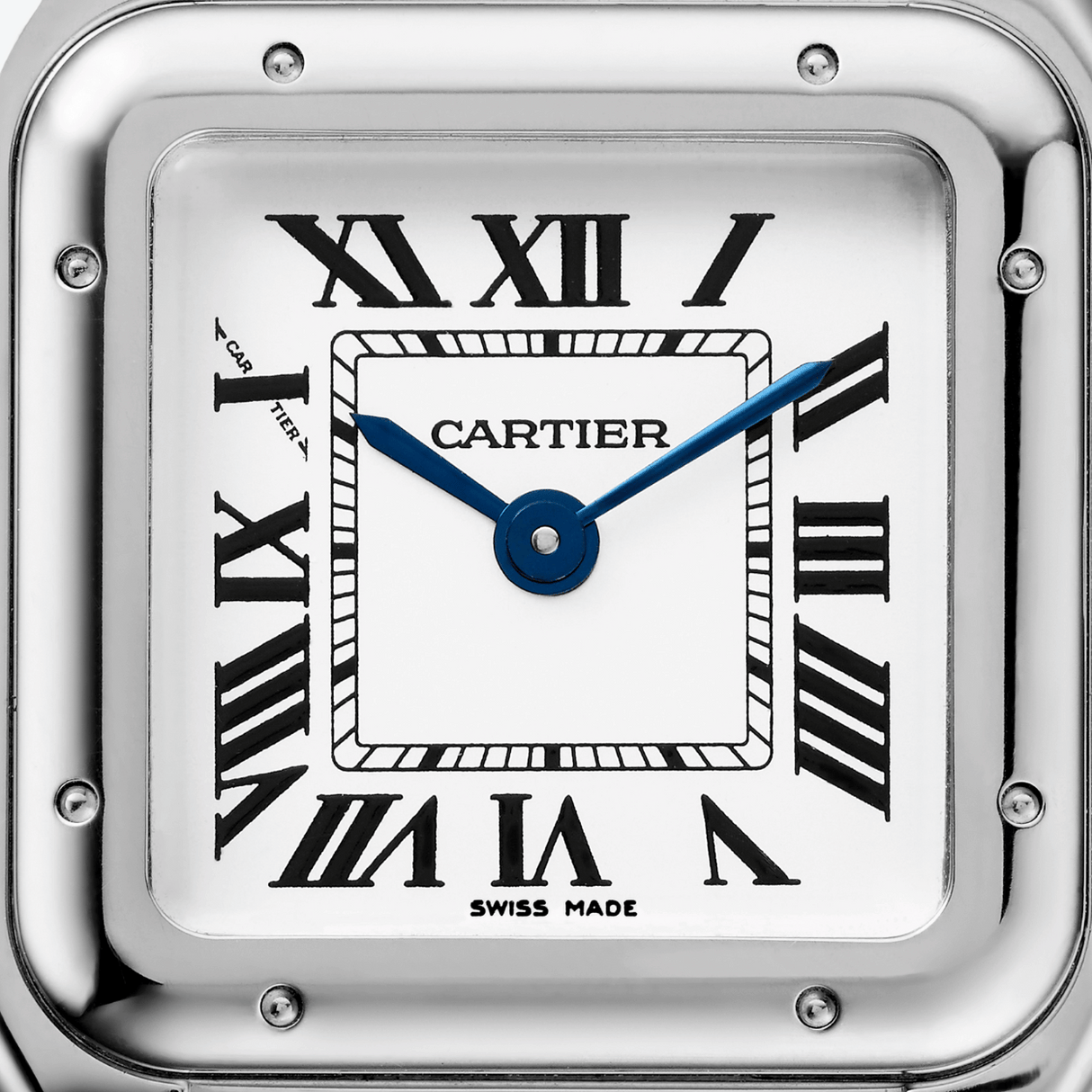 Cartier Panthère de Cartier small
