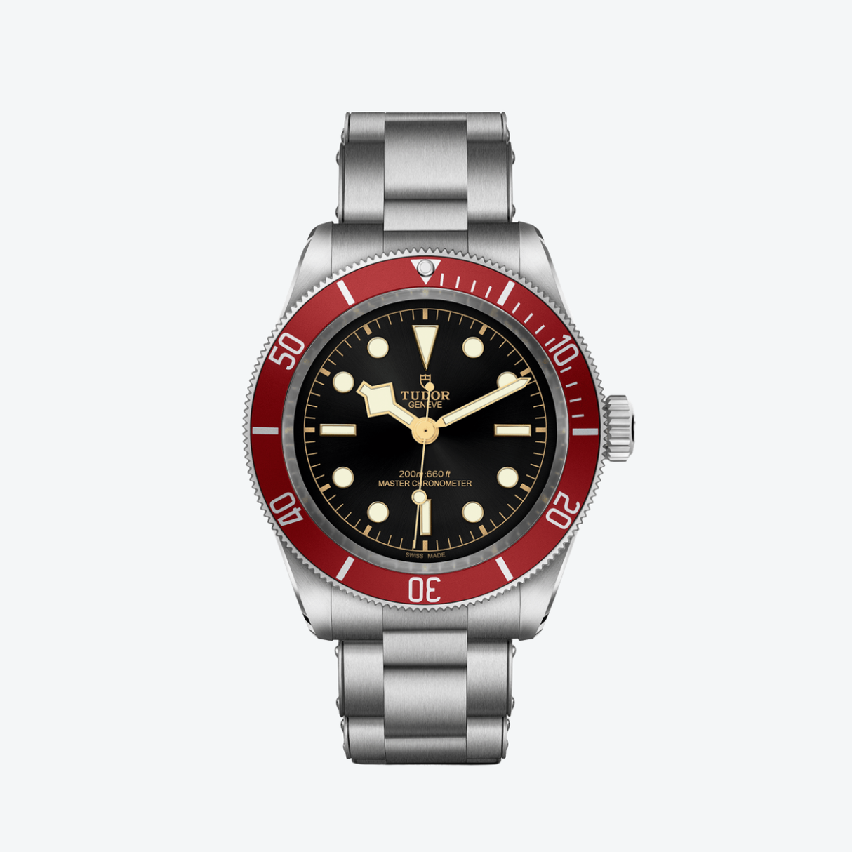 Tudor Black Bay