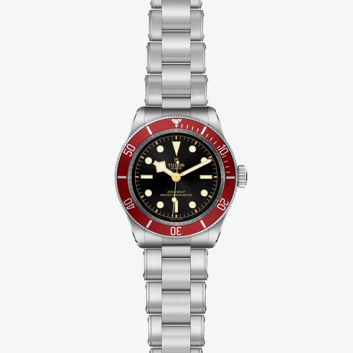 Tudor Black Bay