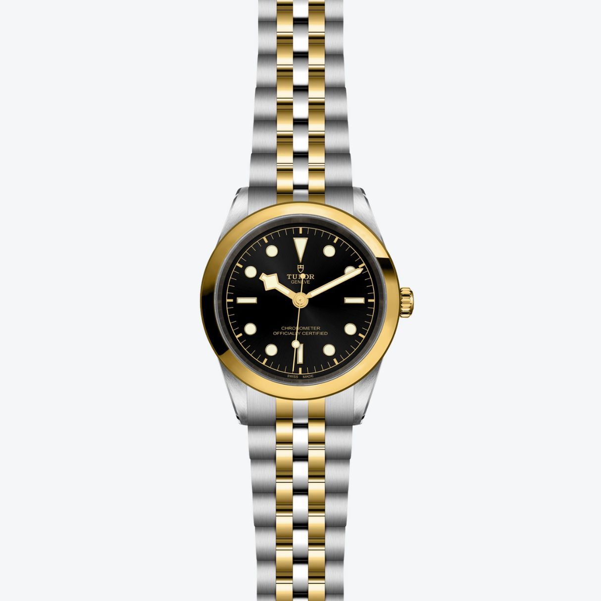 Tudor Black Bay