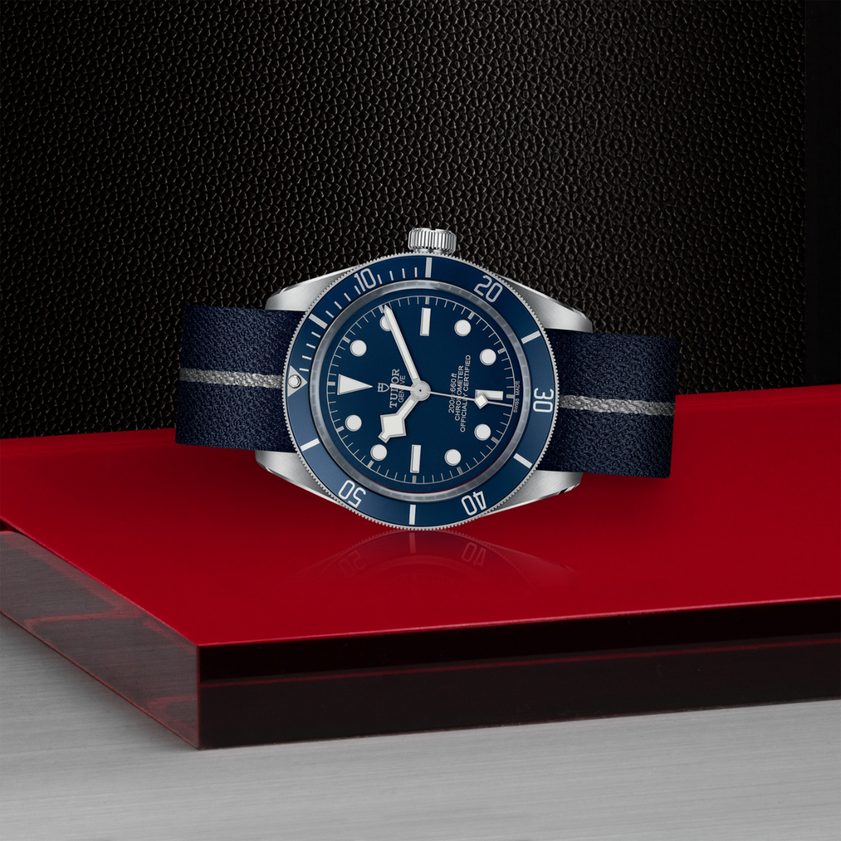 Tudor Black Bay 58