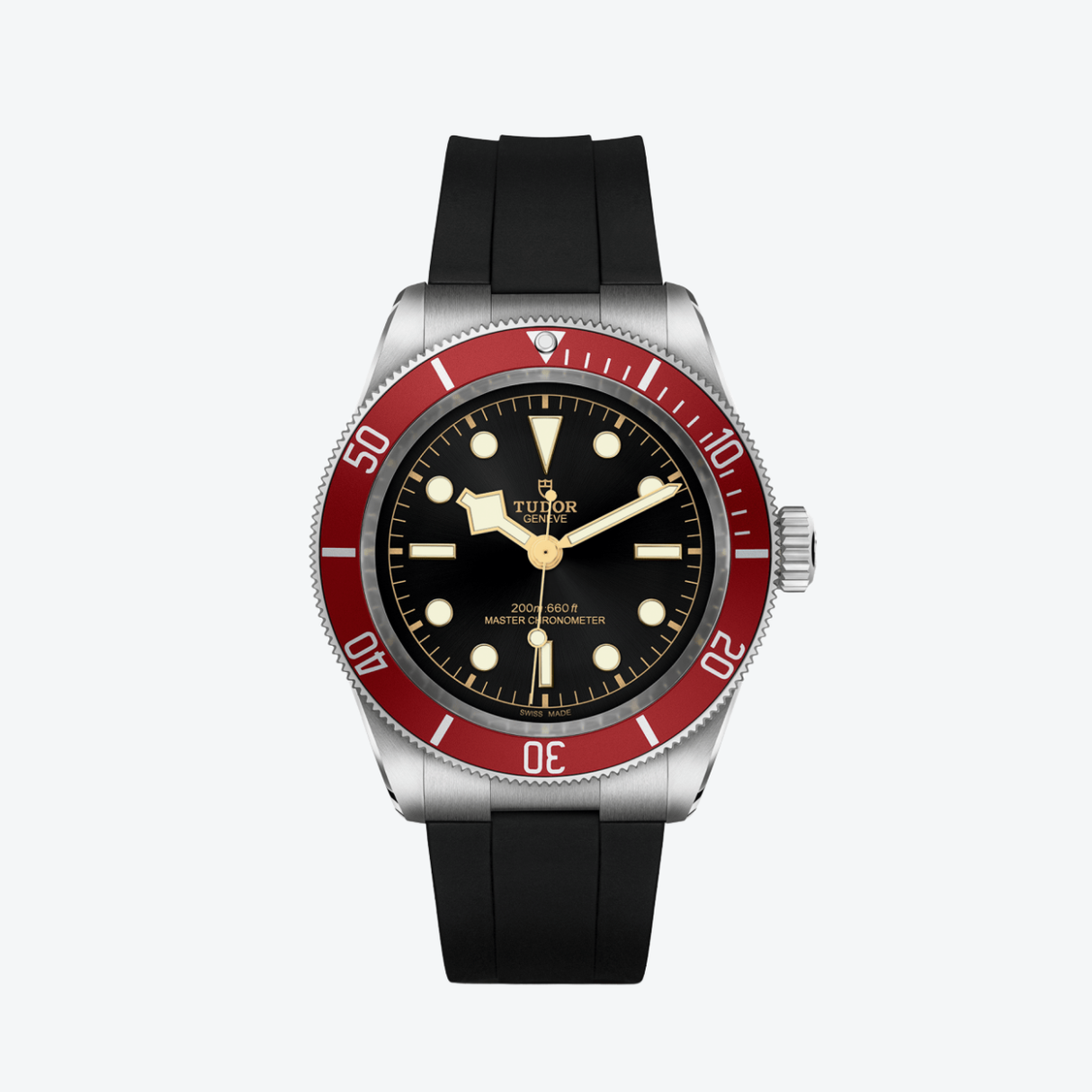 Tudor Black Bay