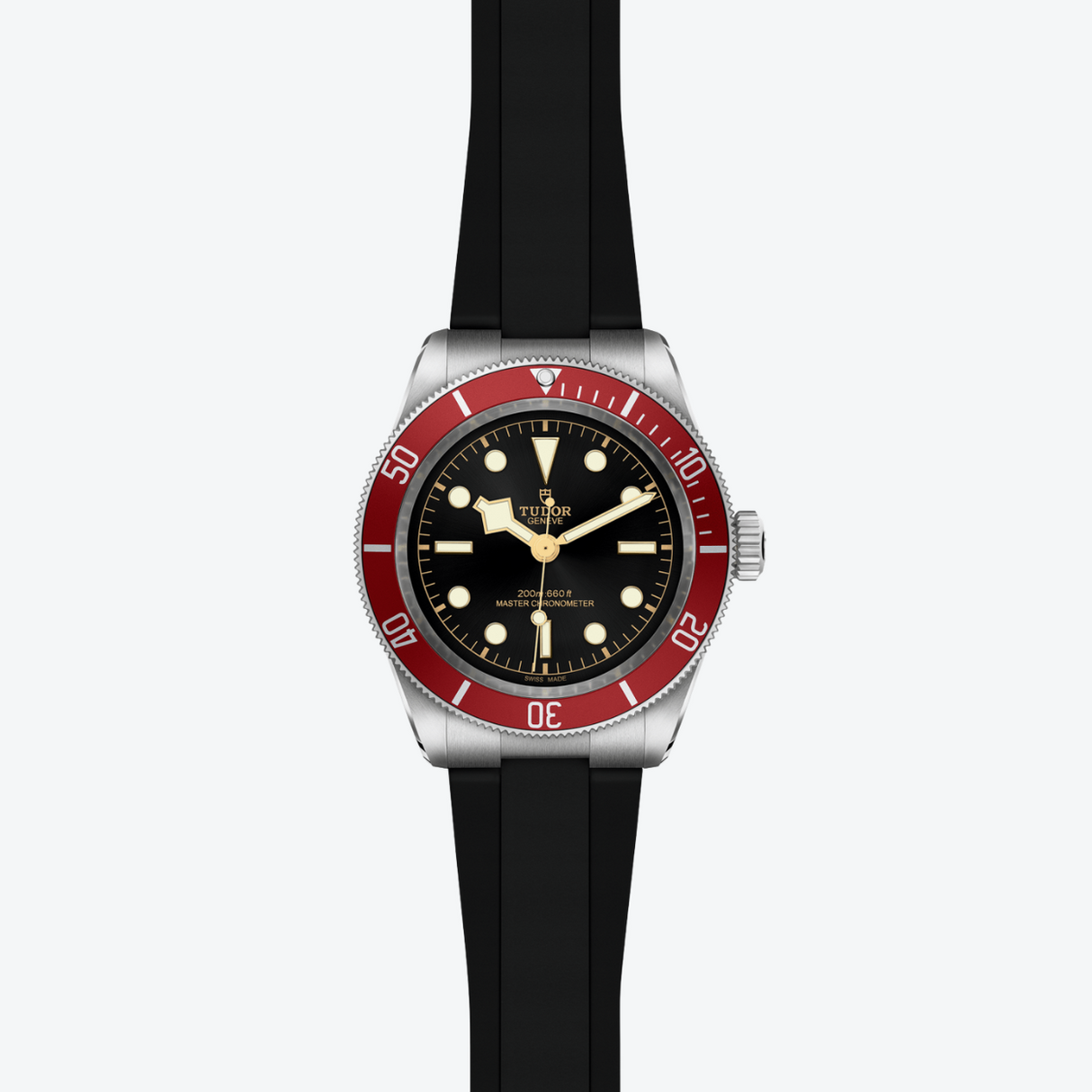 Tudor Black Bay