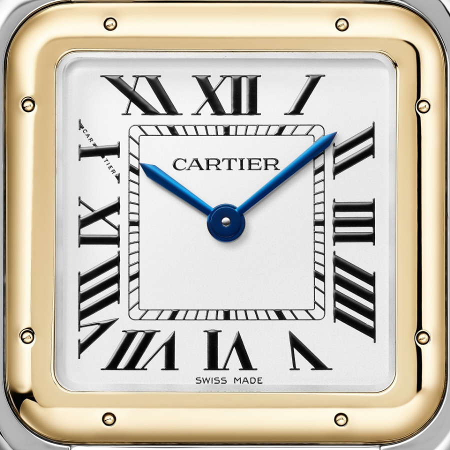 Cartier Panthère de Cartier Large
