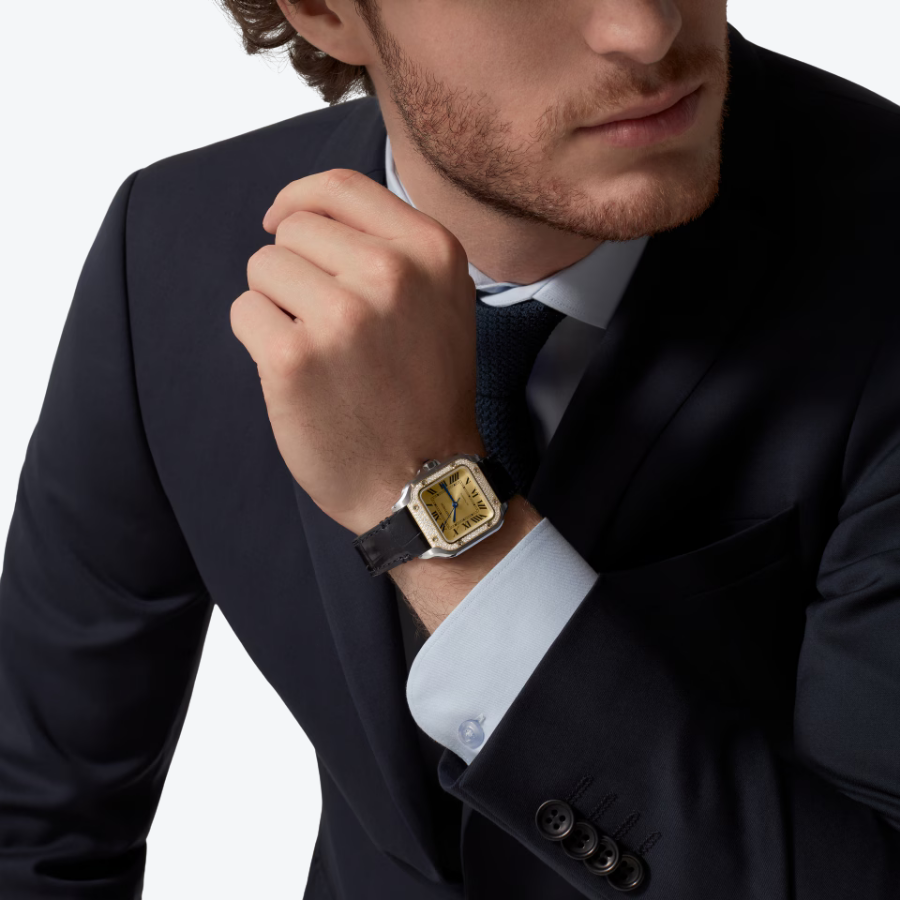 Santos de Cartier Medium