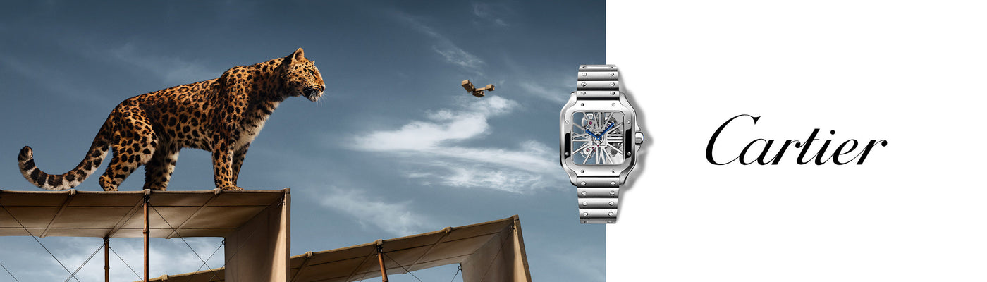 Cartier - Santos de Cartier