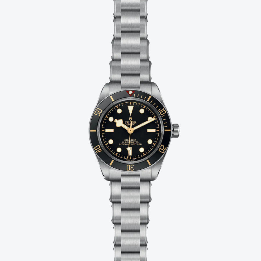 Tudor Black Bay 58