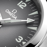 Omega Seamaster Railmaster 38mm