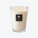 Baobab All Seasons Madagascar Vanilla Grande