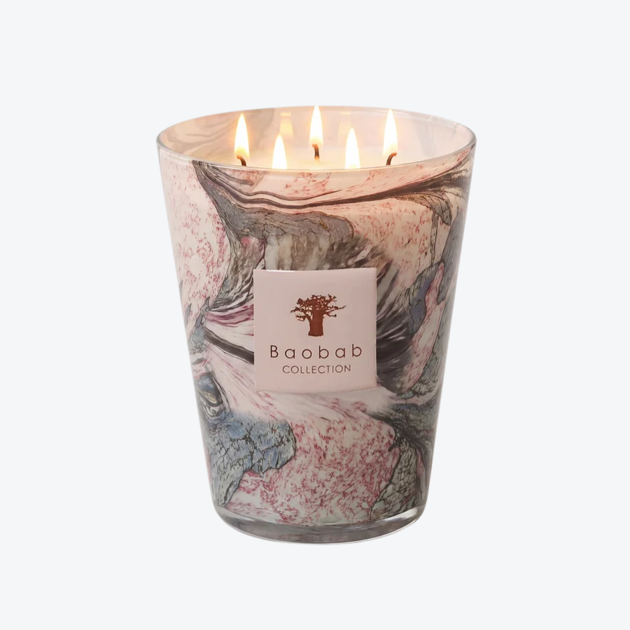 Baobab Leaves Manon Grande