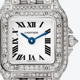 Cartier Panthère de Cartier Mini