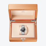 Omega Seamaster Aqua Terra 41mm