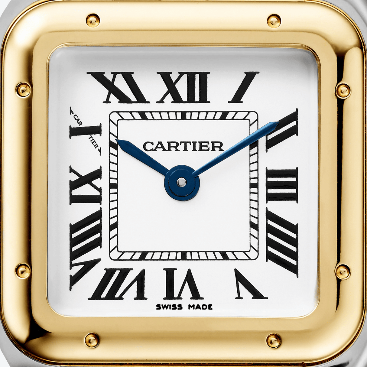 Cartier Panthère de Cartier Small