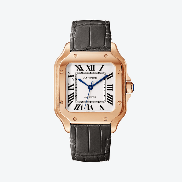 HouseOfPertijs_Cartier_Santosd