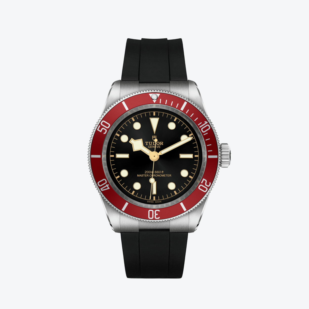 Tudor Black Bay