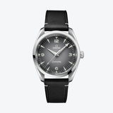 Omega Seamaster Railmaster 38mm