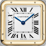 Cartier Panthère de Cartier Large