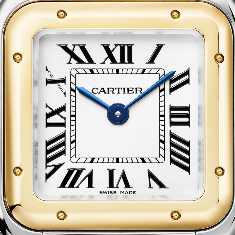 Cartier Panthère de Cartier Small