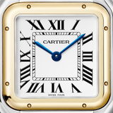 Cartier Panthère de Cartier Medium