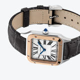 Santos-Dumont Small