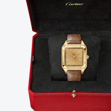 Cartier Santos-Dumont extra large