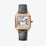 Santos-Dumont Small