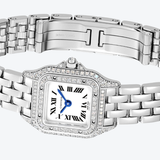 Cartier Panthère de Cartier Mini