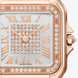 Cartier Panthère de Cartier Medium