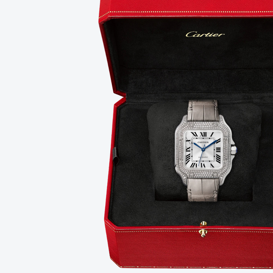 Santos de Cartier Medium